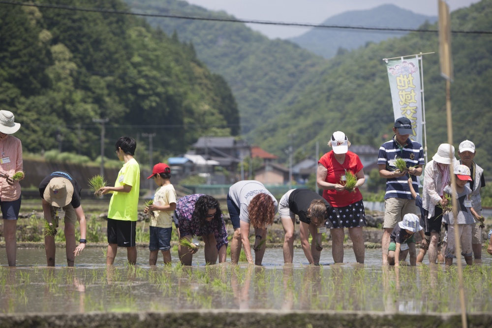 Residents of Marine Corps Air Station Iwakuni and Iwakuni City plant rice in Iwakuni City, Japan