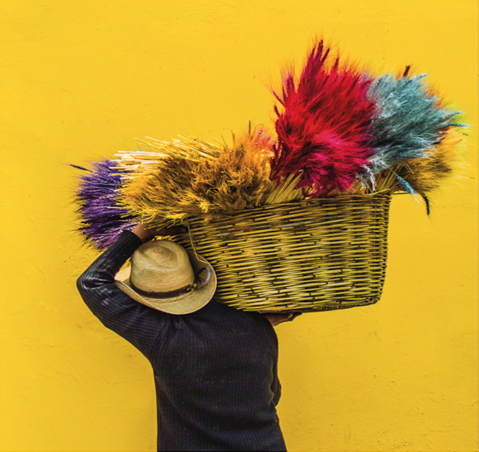 Person carrying colorful plants in a basket on his shoulder.