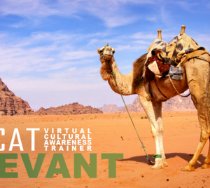 Photo of camel with text "VCAT Levant"