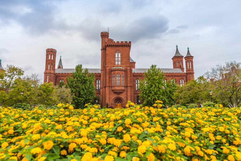 Smithsonian castle in Washington, D.C. with yellow flowers in the foreground
