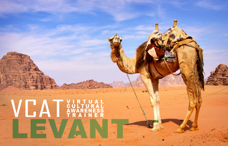 Photo of camel with text "VCAT Levant"