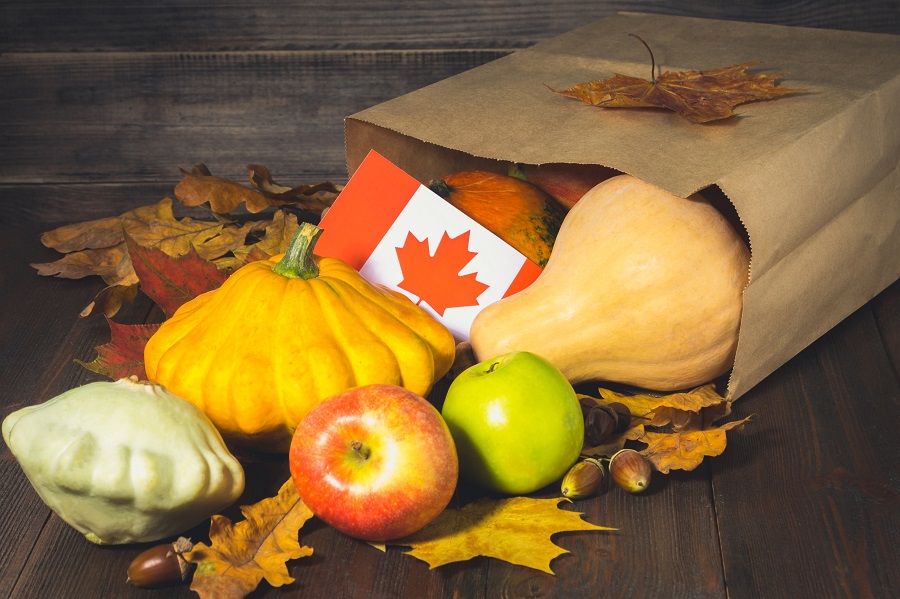A Canadian flag, vegetables, pumpkins, squash, apples, maple and oak leaves, acorns on a wooden background.