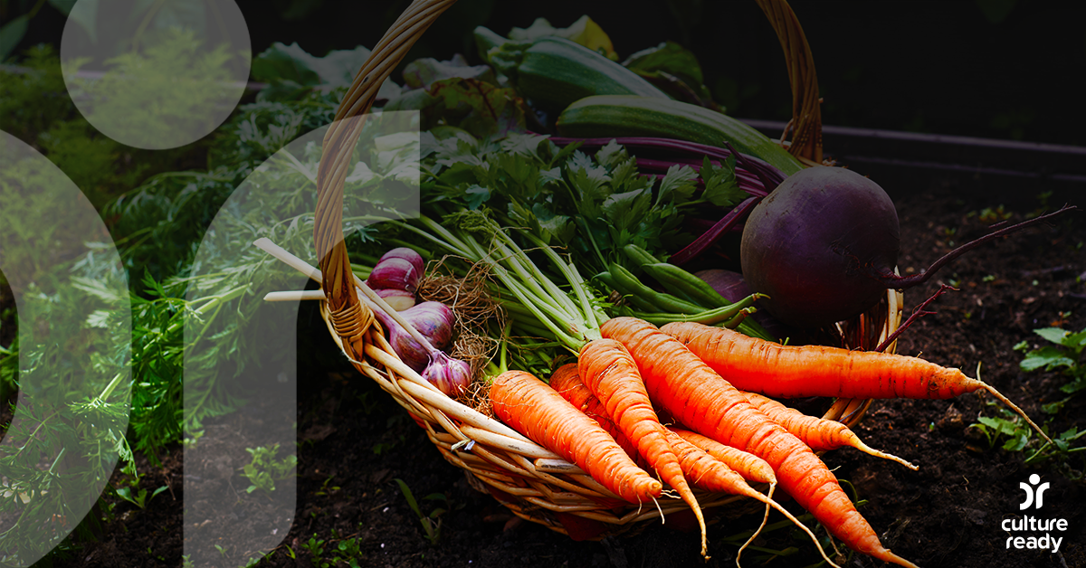 Image of carrots, radishes, and other vegetables in a basket