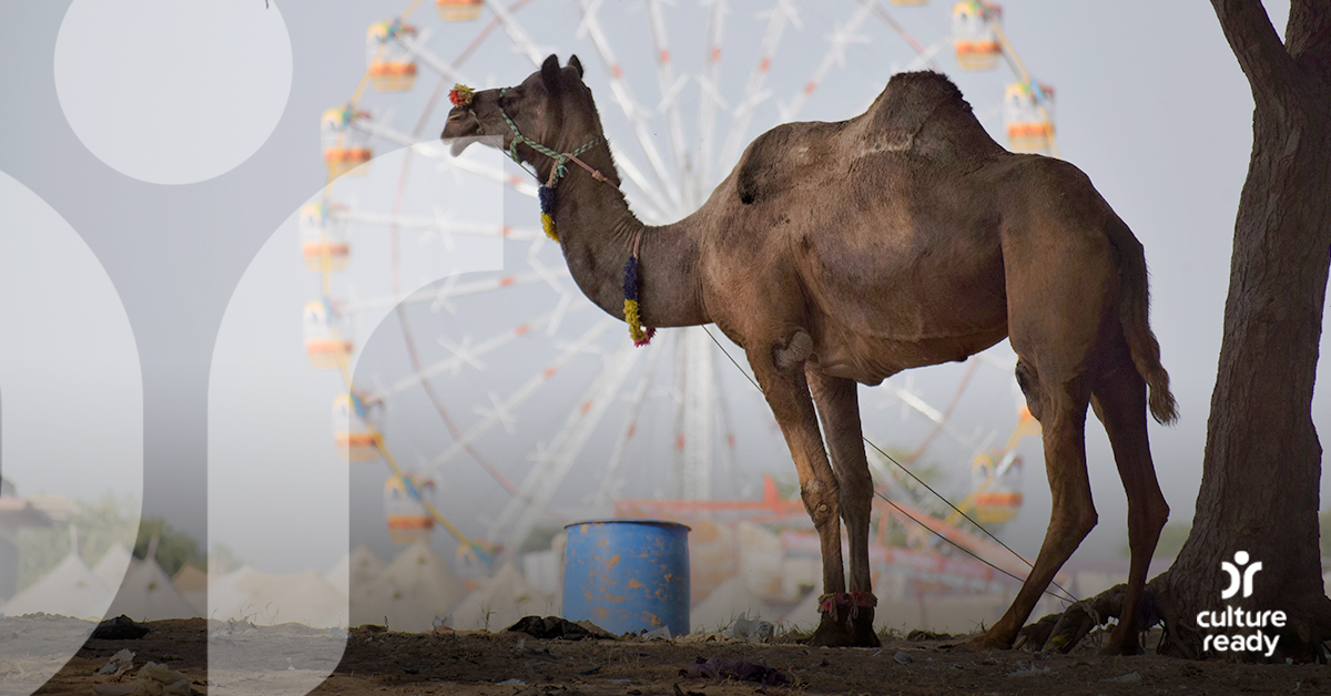 A camel stands by a tree with a Ferris wheel in the background