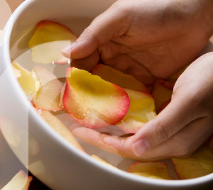 Image of two hands in a bowl of water with flower petals