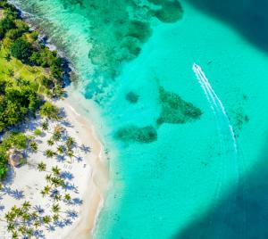 Aerial drone view of beautiful caribbean tropical island Cayo Levantado beach with palms and boat.