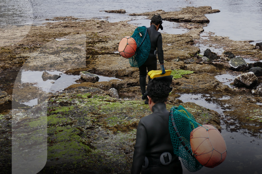 Women in diving suits walking on a beach, carrying fishing nets.