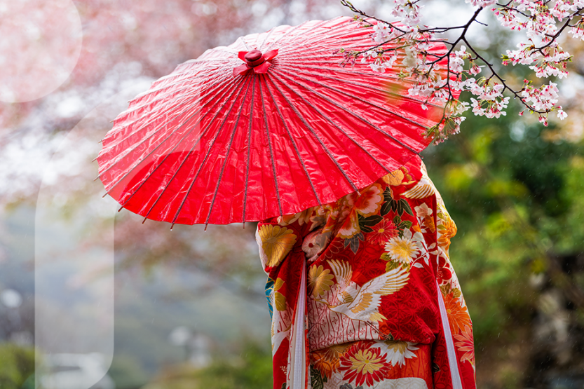 A woman in a red kimono holds a red umbrella in front of cherry blossom flowers