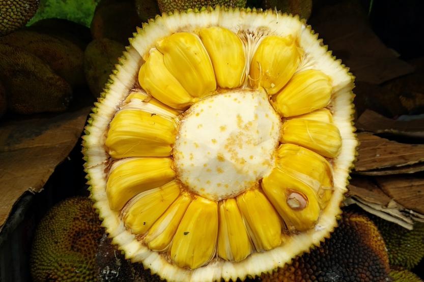 A Jackfruit cut in half with exposed interior